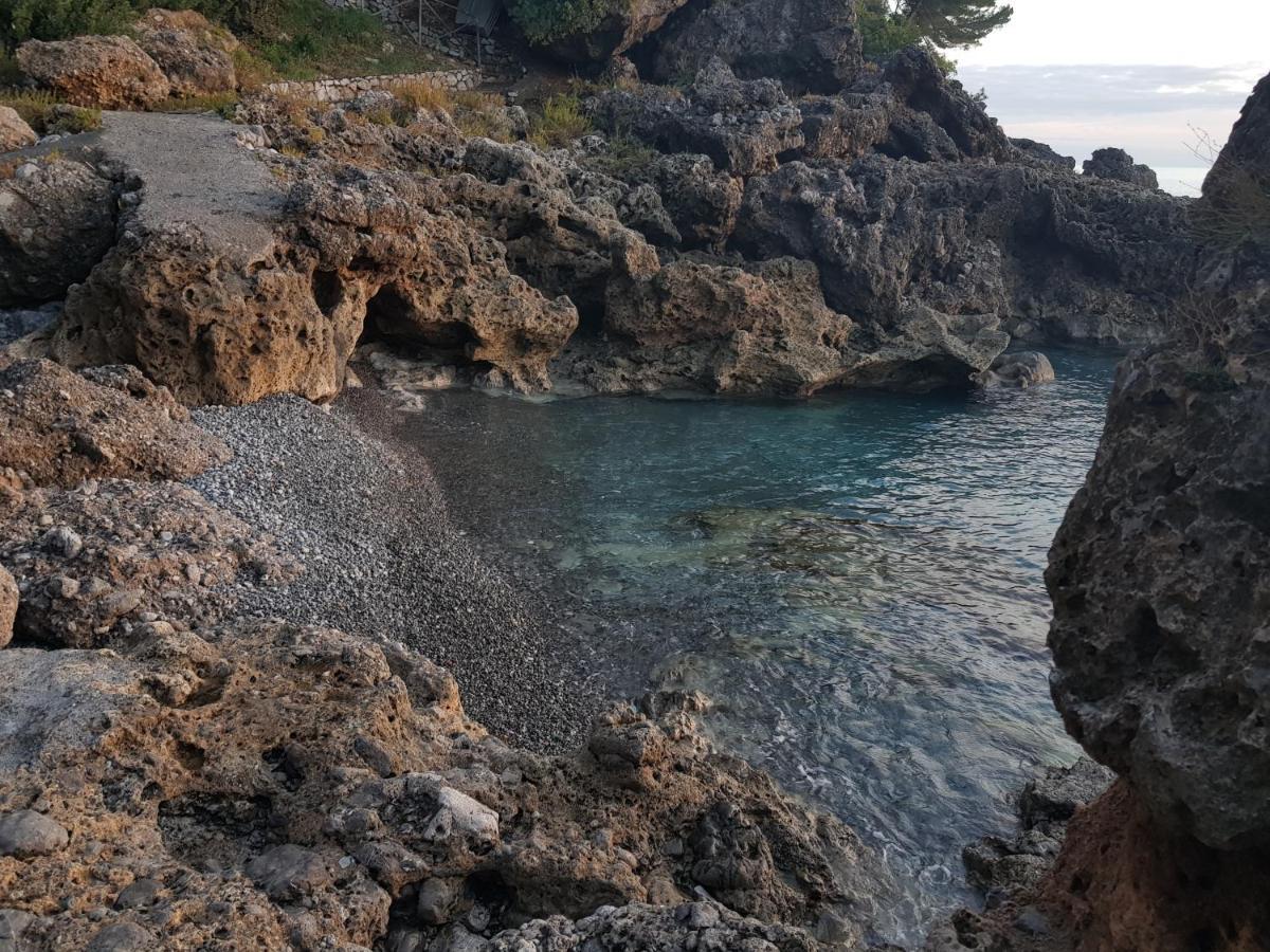 Bed And Breakfast Tenuta Palmieri Only Adult Maratea Bagian luar foto