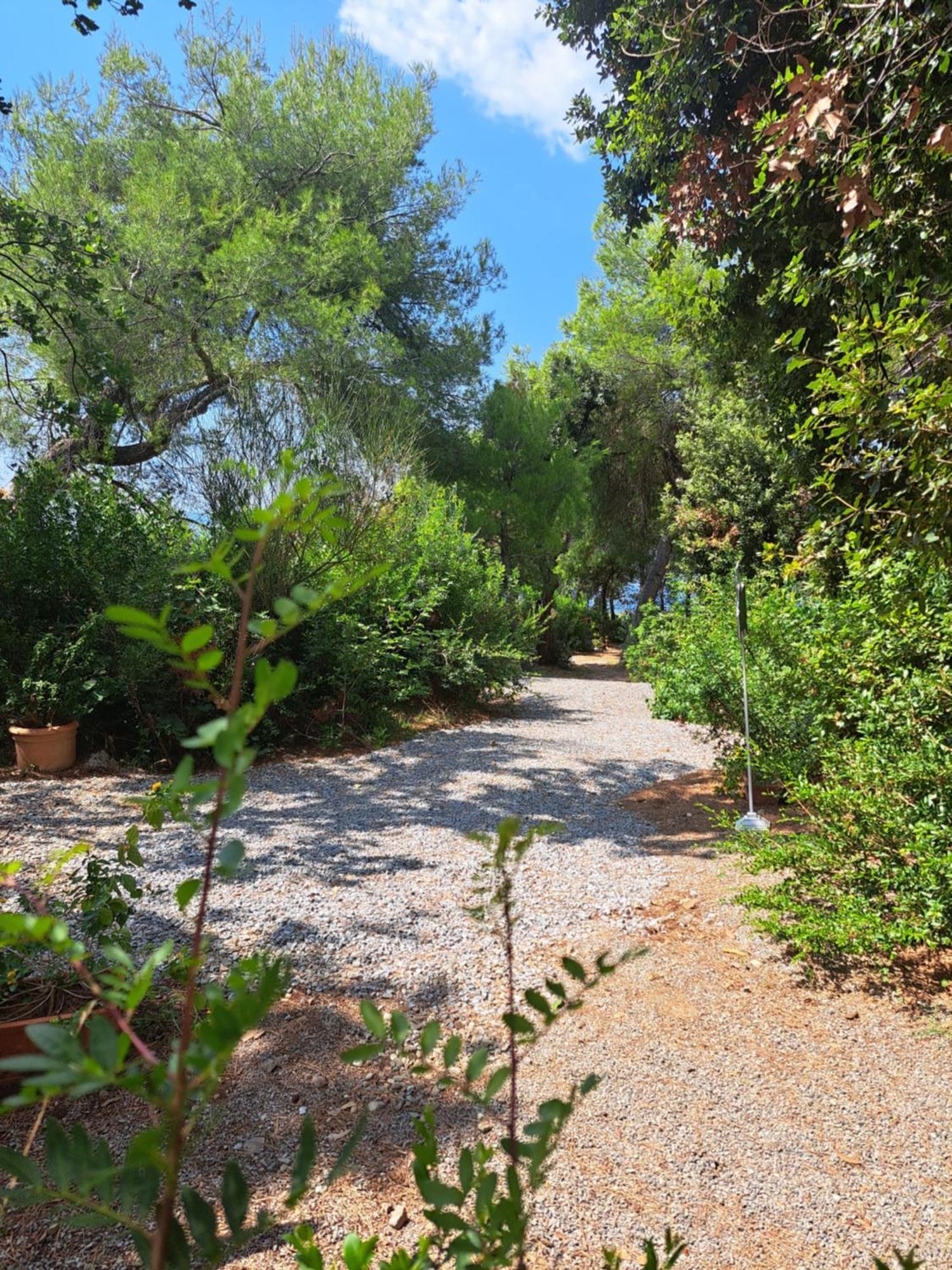 Bed And Breakfast Tenuta Palmieri Only Adult Maratea Bagian luar foto